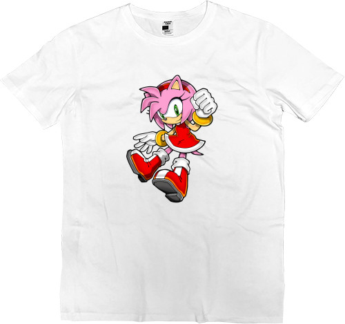 Amy Rose (4)