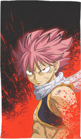 Fairy Tail (6)