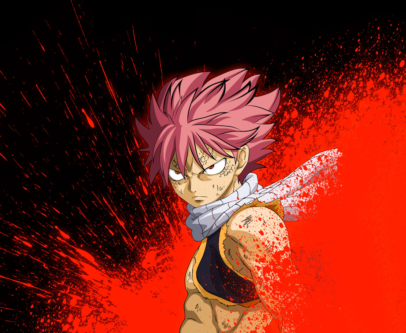 Fairy Tail (6)