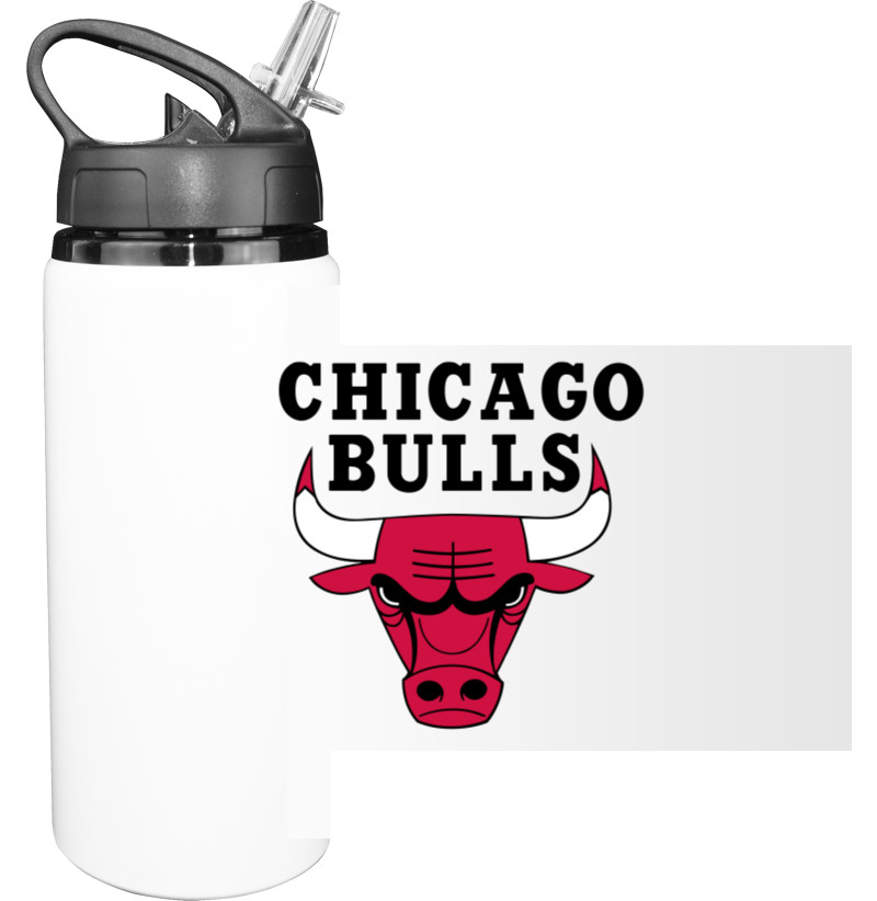 Chicago Bulls (1)