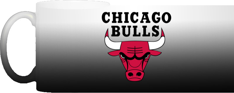 Chicago Bulls (1)