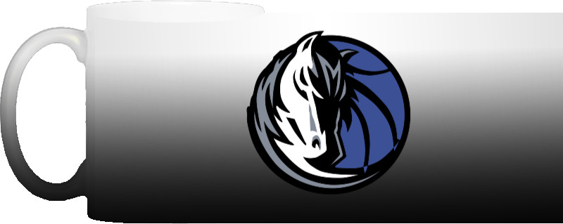 Dallas Mavericks (2)