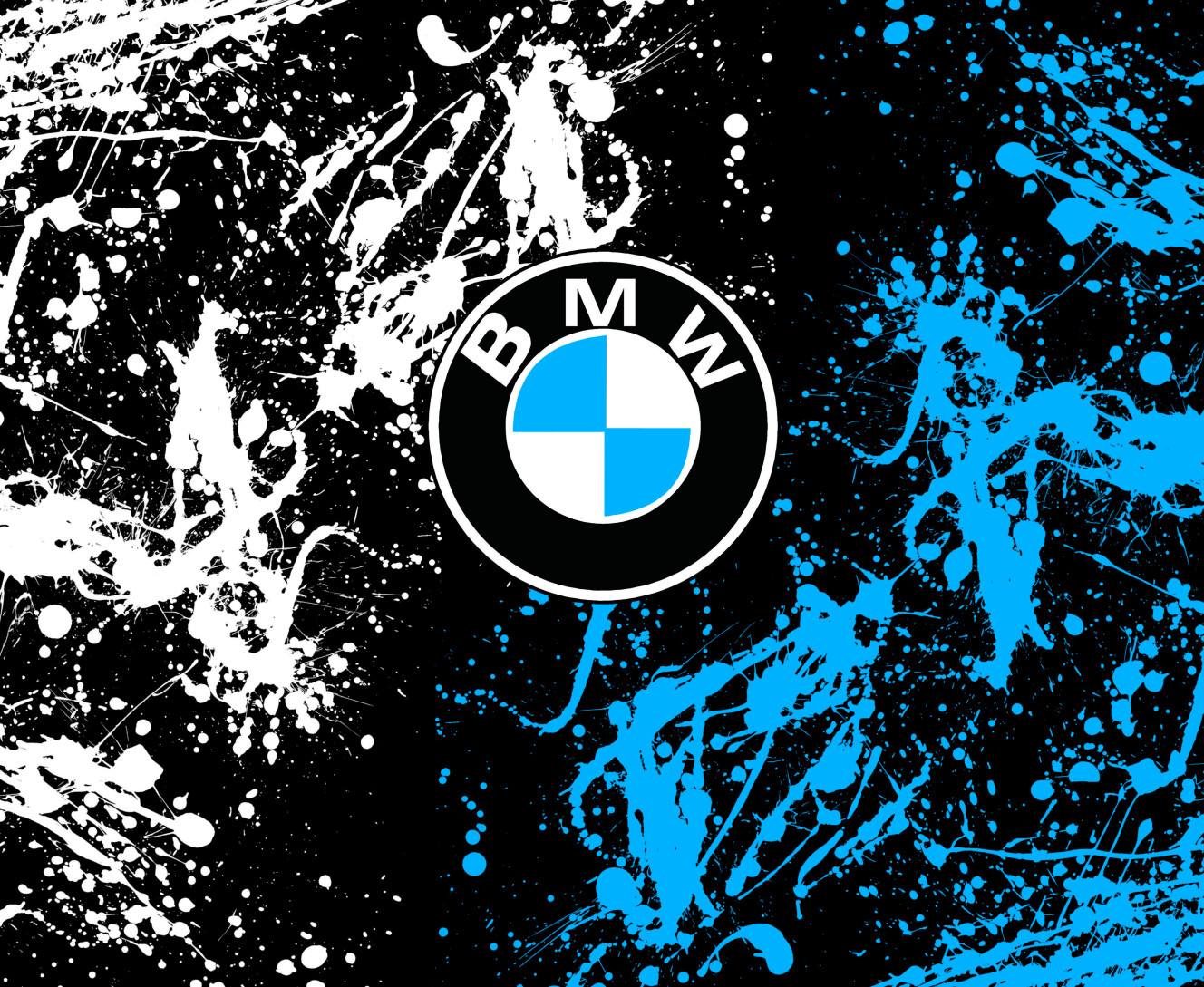 BMW (4)