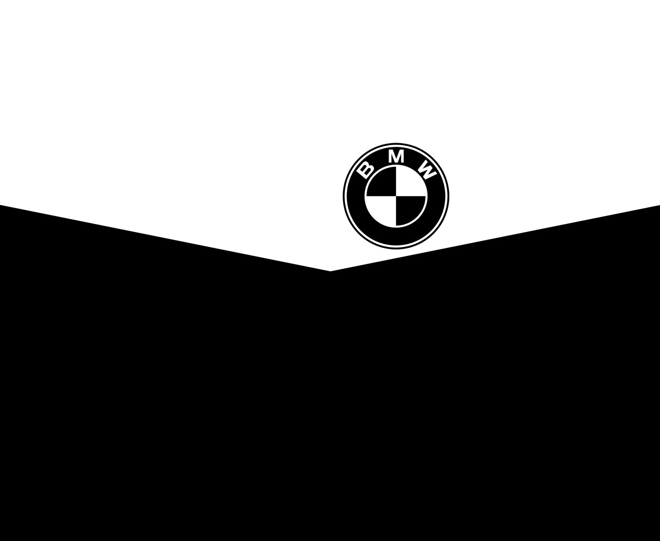 BMW (2)