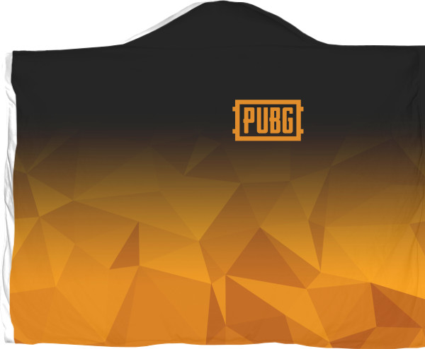 PUBG (10)