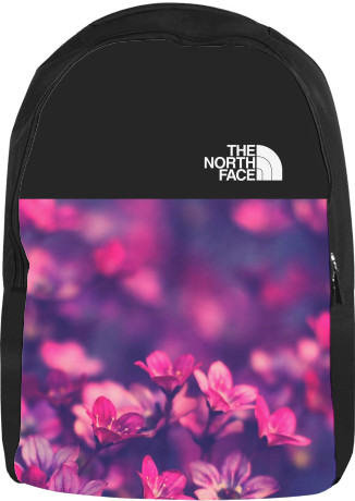 Backpack 3D - THE NORTH FACE (3) - Mfest