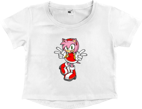 Amy Rose (2)