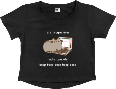 I are programmer