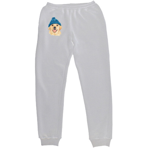 Men's Sweatpants - Лабрадор в шапке - Mfest