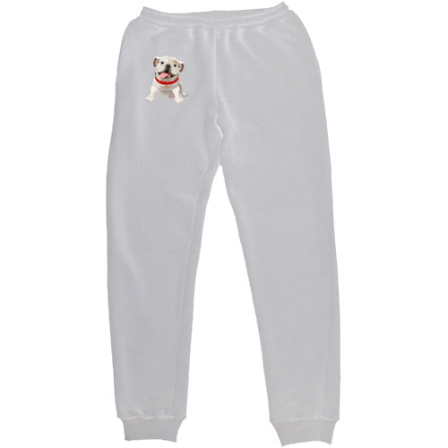 Women's Sweatpants - Французький бульдог 2 - Mfest