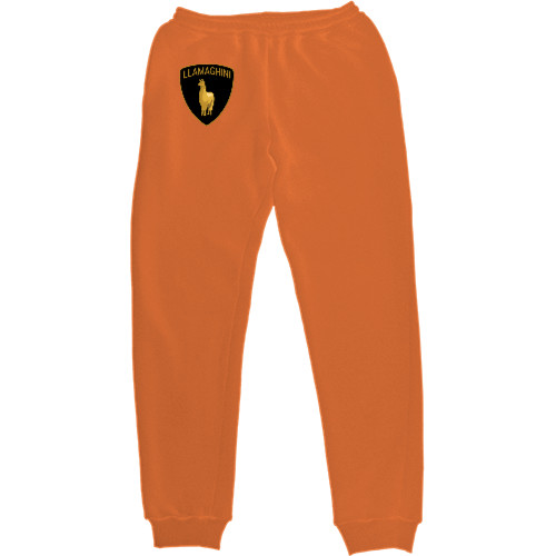 Kids' Sweatpants - LLAMAGHINI - Mfest