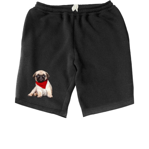 Men's Shorts - Мопс 7 - Mfest