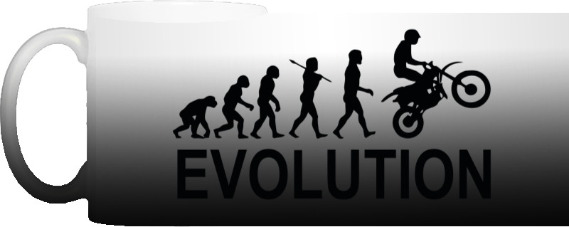 Moto evolution