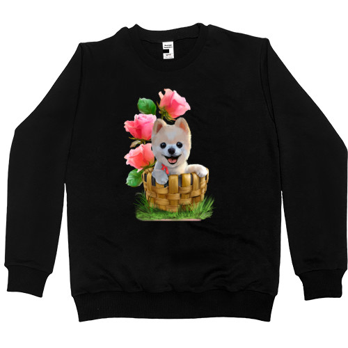 Women's Premium Sweatshirt - Померанский шпиц - Mfest