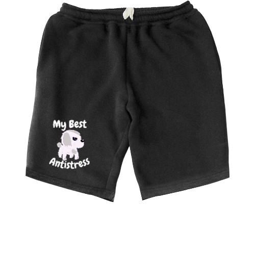 Men's Shorts - Maltese Best Antistress, Мальтийская болонка - Mfest