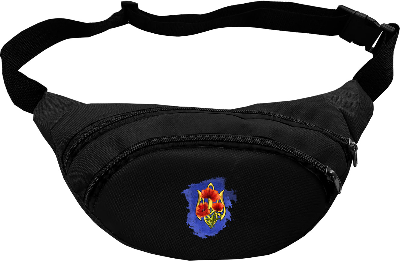 Fanny Pack - Україна - Mfest