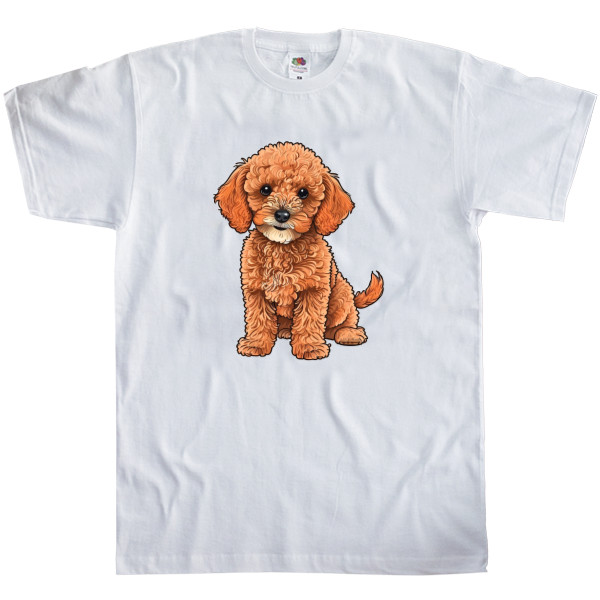 Men's T-Shirt Fruit of the loom - Toy Poodle - Mfest