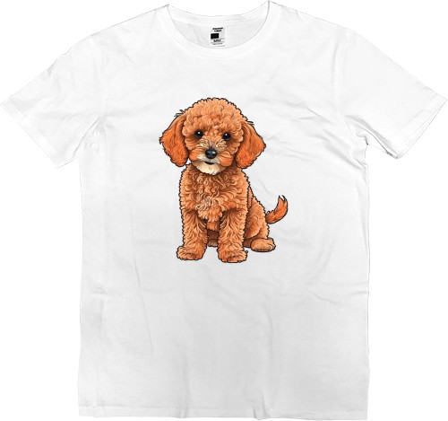 Men’s Premium T-Shirt - Toy Poodle - Mfest