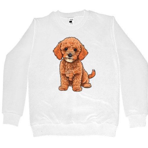 Men’s Premium Sweatshirt - Toy Poodle - Mfest