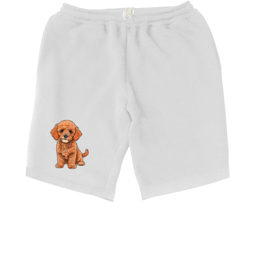 Men's Shorts - Toy Poodle - Mfest