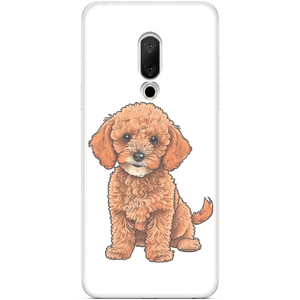 Toy Poodle