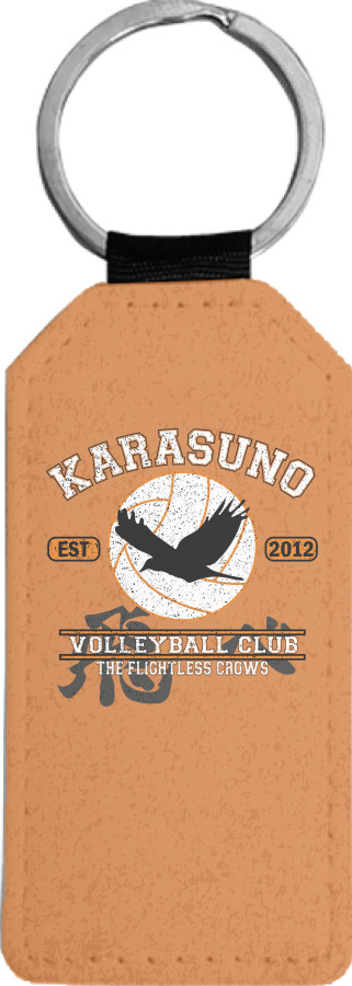 Karasuno volleyball team