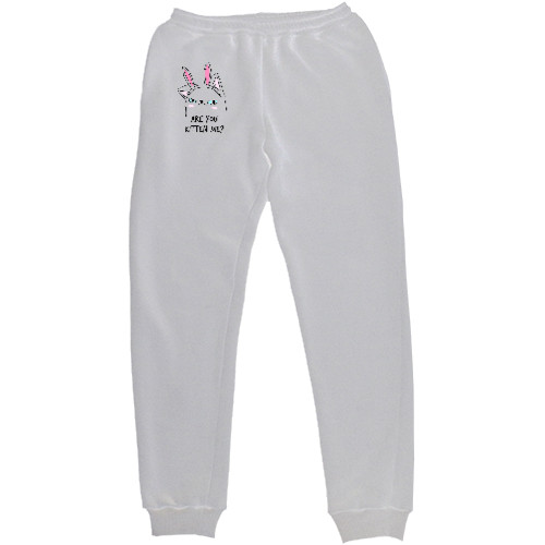 Men's Sweatpants - Are you kitten me - Mfest