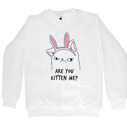 Women's Premium Sweatshirt - Are you kitten me - Mfest