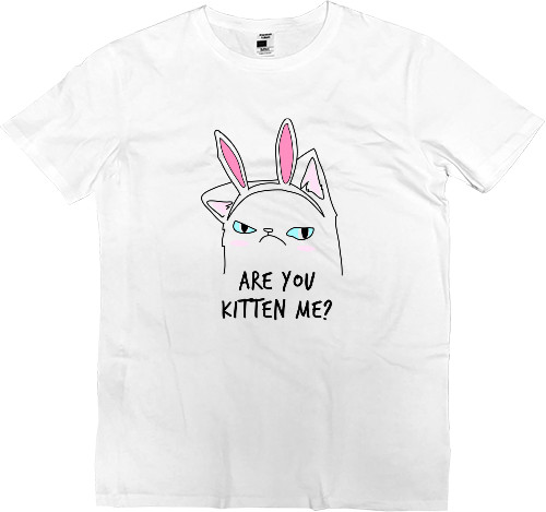 Are you kitten me