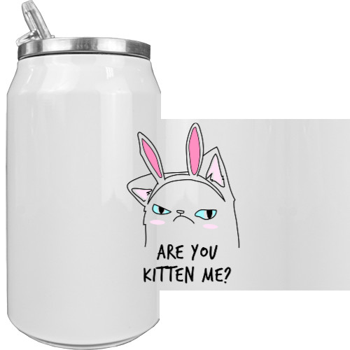 Aluminum Can - Are you kitten me - Mfest