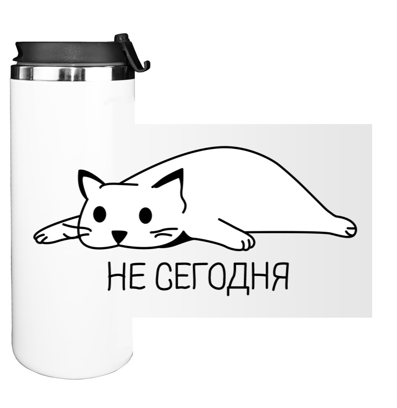 Кот не сегодня