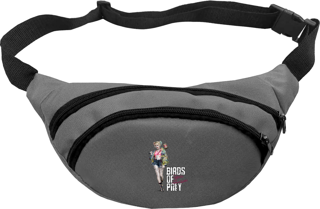 Fanny Pack - Birds of Prey - Mfest