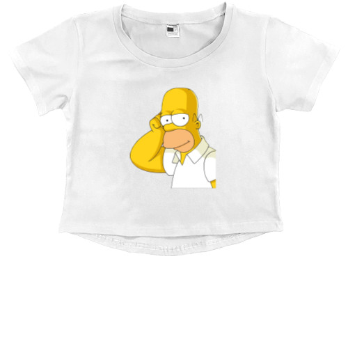 Homer Simpson 5