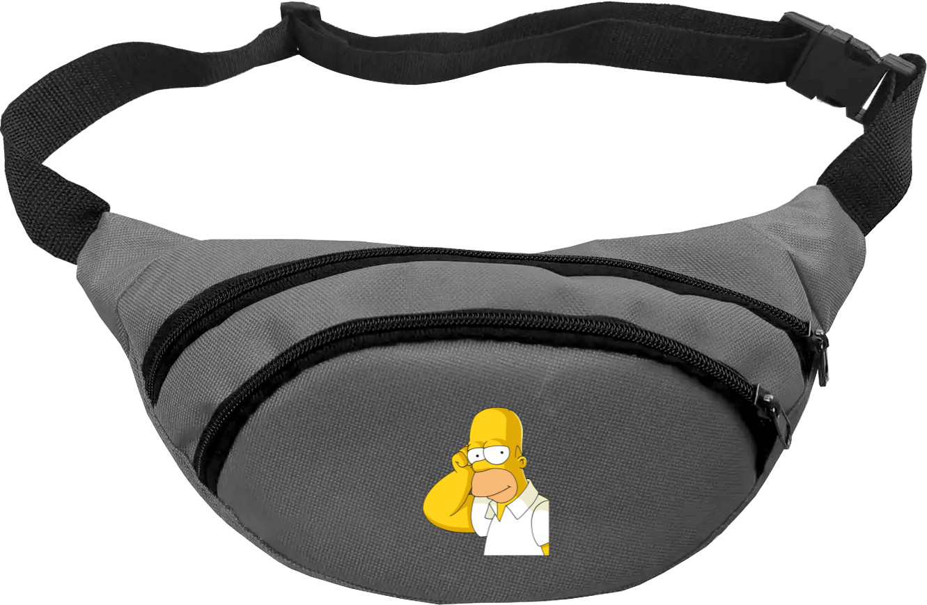 Homer Simpson 5