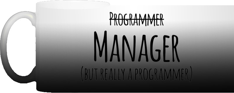 Programmer-manadger