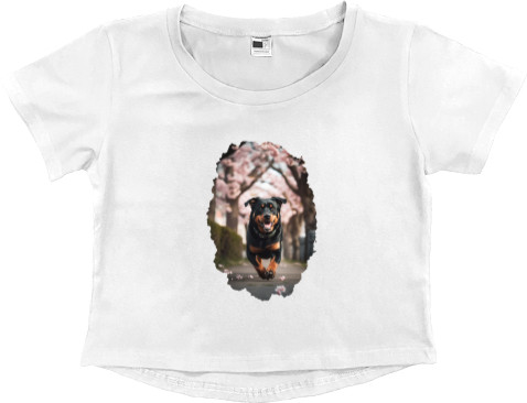 Women's Cropped Premium T-Shirt - Rottweiler 14 - Mfest