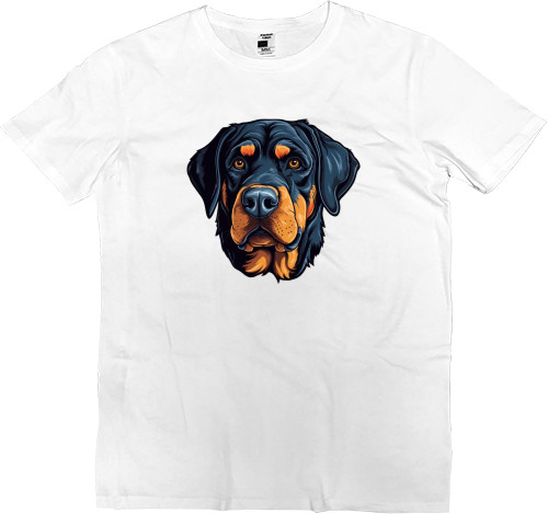 Rottweiler 11