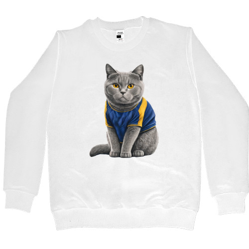 british shorthair gut 4