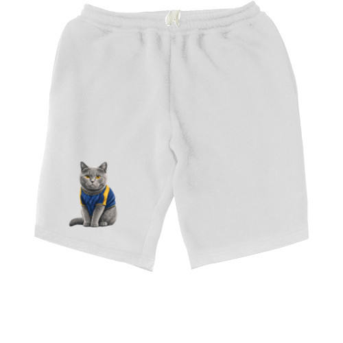 Men's Shorts - british shorthair gut 4 - Mfest