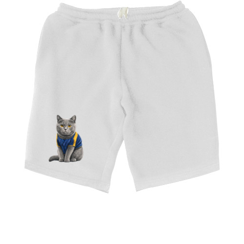 Коты и Кошки - Kids' Shorts - british shorthair gut 4 - Mfest