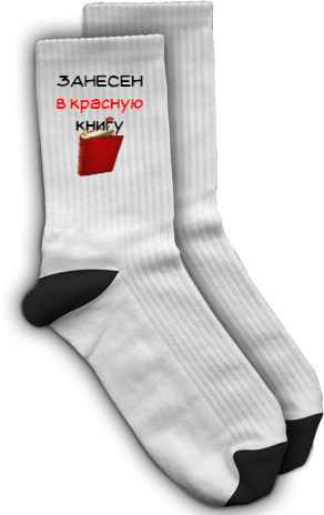 Socks - Занесен в красную книгу - Mfest