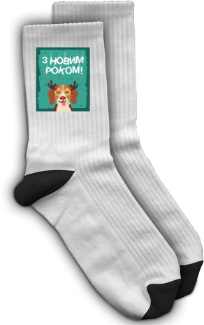 Socks - NOVORICHNY DOG - Mfest