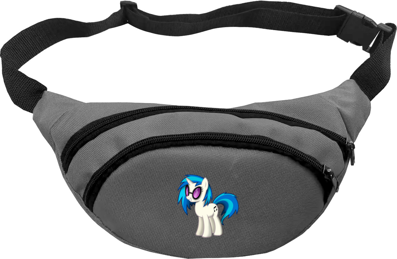 pony disc jockey