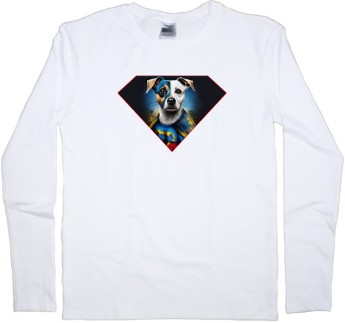 Dog Patron super man