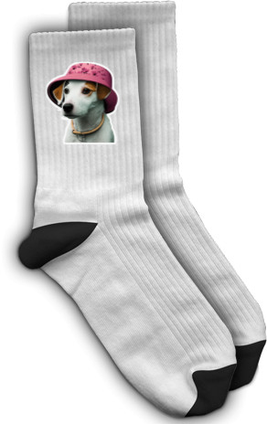 Socks - Dog Patron 2 - Mfest