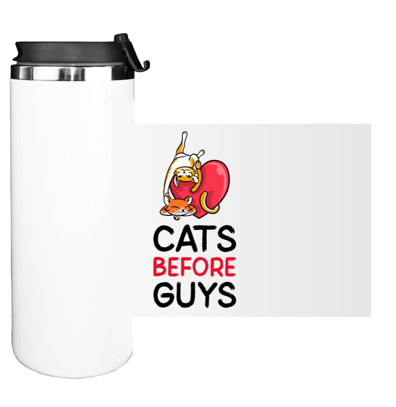 CATS BEFORE GUYS