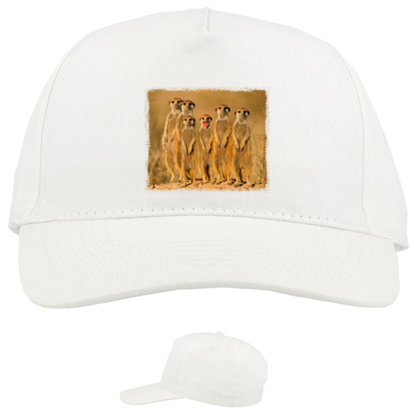 Baseball Caps - 5 panel - Meerkati - Mfest