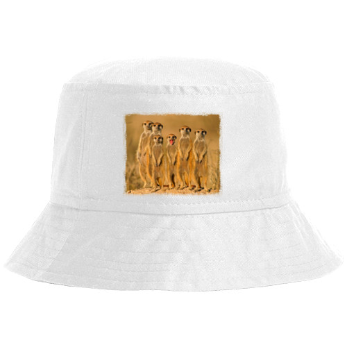 Bucket Hat - Meerkati - Mfest