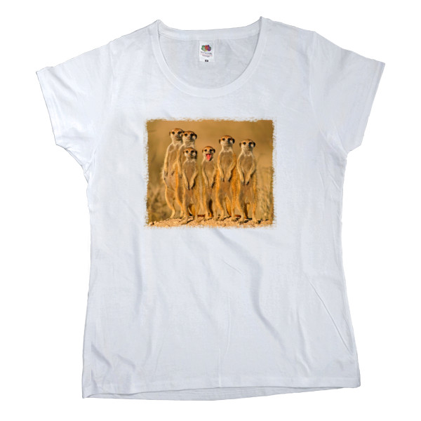 Women's T-shirt Fruit of the loom - Meerkati - Mfest