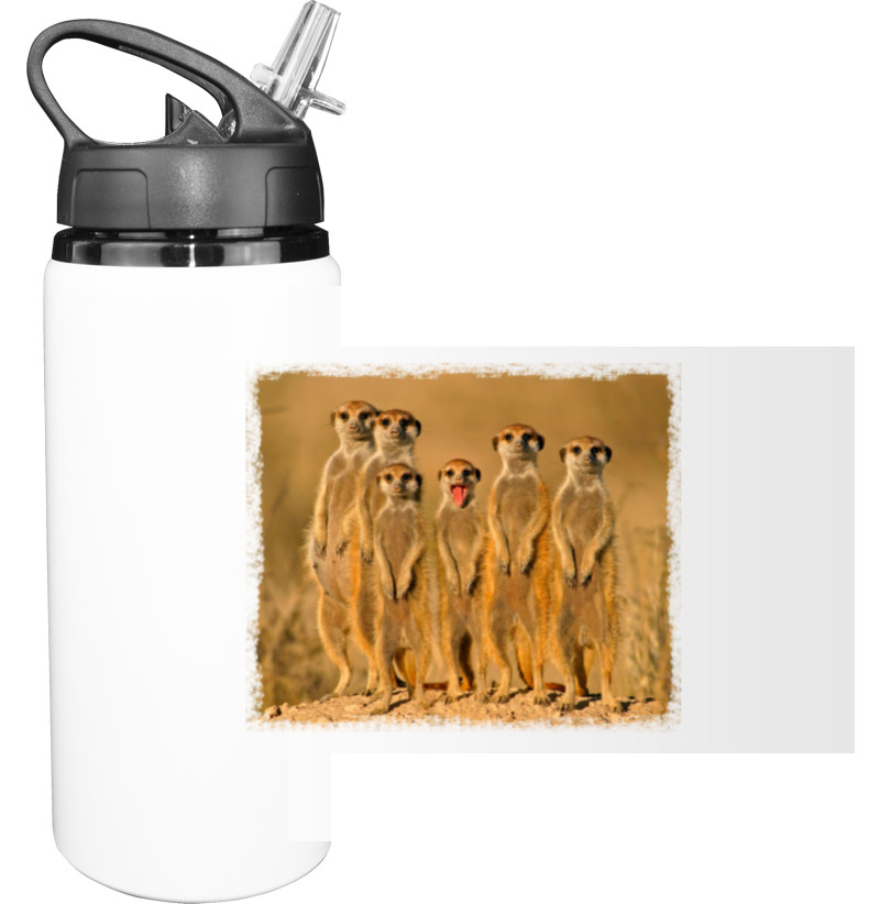 Sport Water Bottle - Meerkati - Mfest